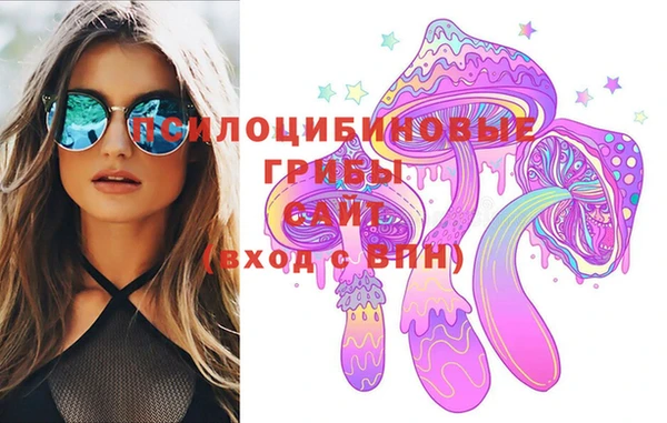 стаф Няндома