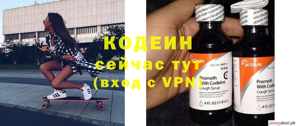 стаф Няндома