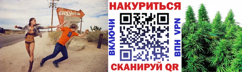 Купить где  Сясьстрой  Бошки Шишки сатива 